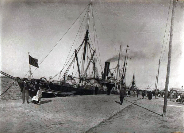 Cabo Santa Pola - Vida Marítima